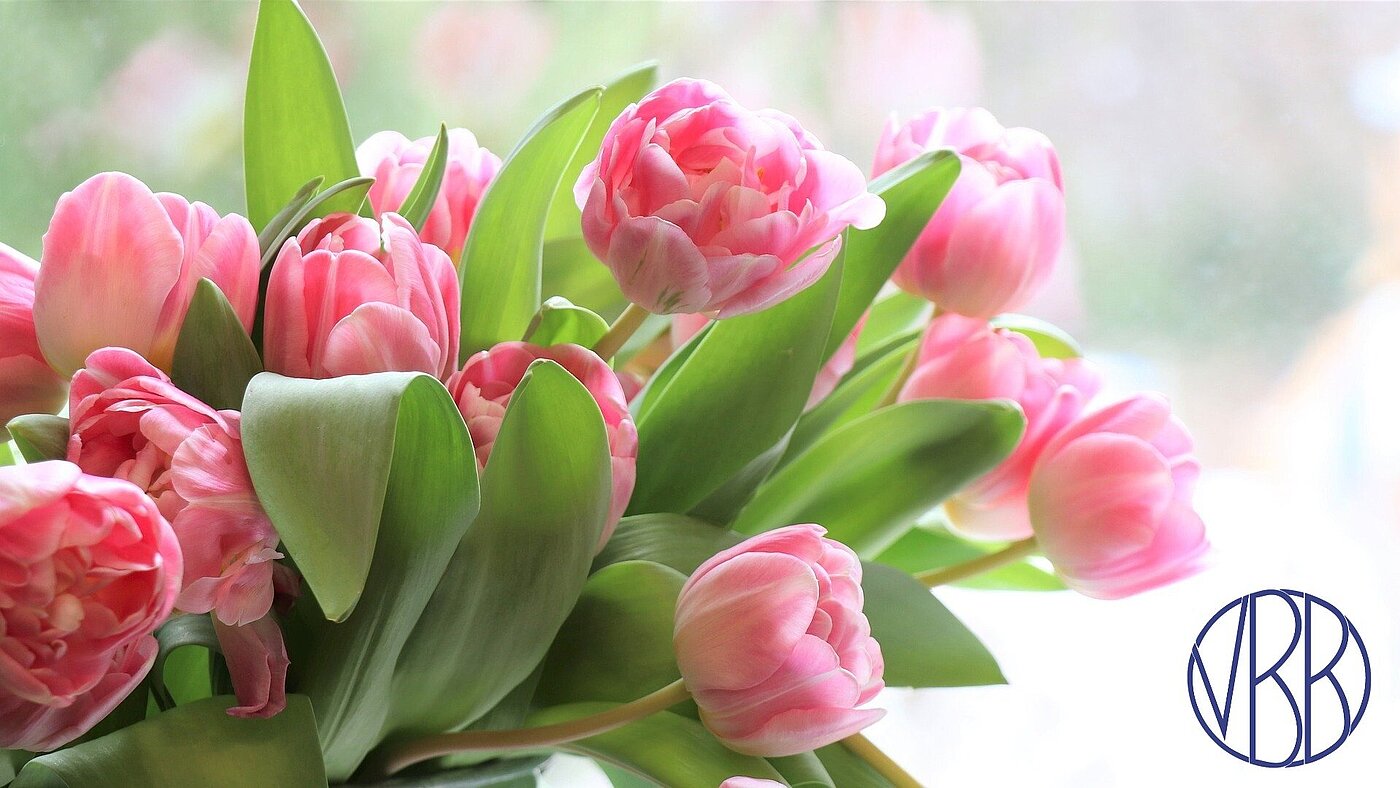 Tulpen zum Weltfrauentag mit VBB-Logo Tulpen zum Weltfrauentag mit VBB-Logo