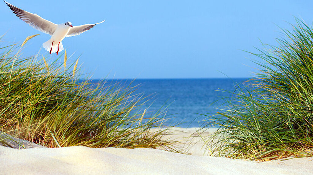 Sommerzeit Sommerzeit