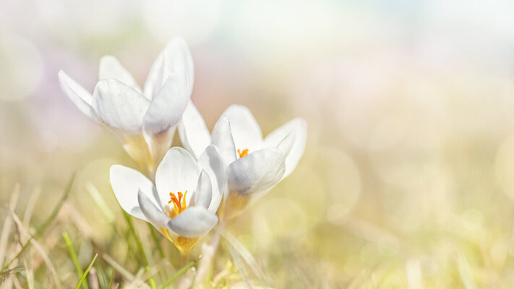Ostern 2019