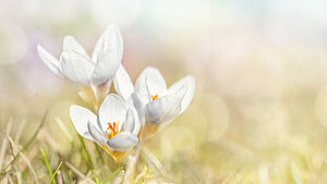 Ostern 2019 Ostern 2019