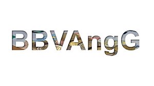 BBVAngG - Kurzbewertung BBVAngG - Kurzbewertung