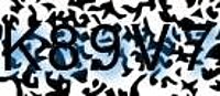 grafischer Sicherheitscode