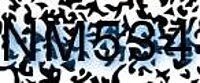 grafischer Sicherheitscode
