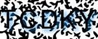 grafischer Sicherheitscode