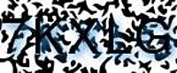 grafischer Sicherheitscode