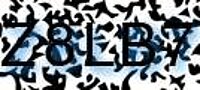grafischer Sicherheitscode