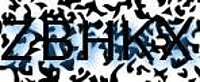 grafischer Sicherheitscode