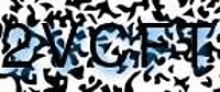 grafischer Sicherheitscode