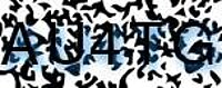 grafischer Sicherheitscode