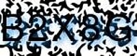 grafischer Sicherheitscode