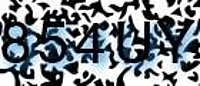 grafischer Sicherheitscode